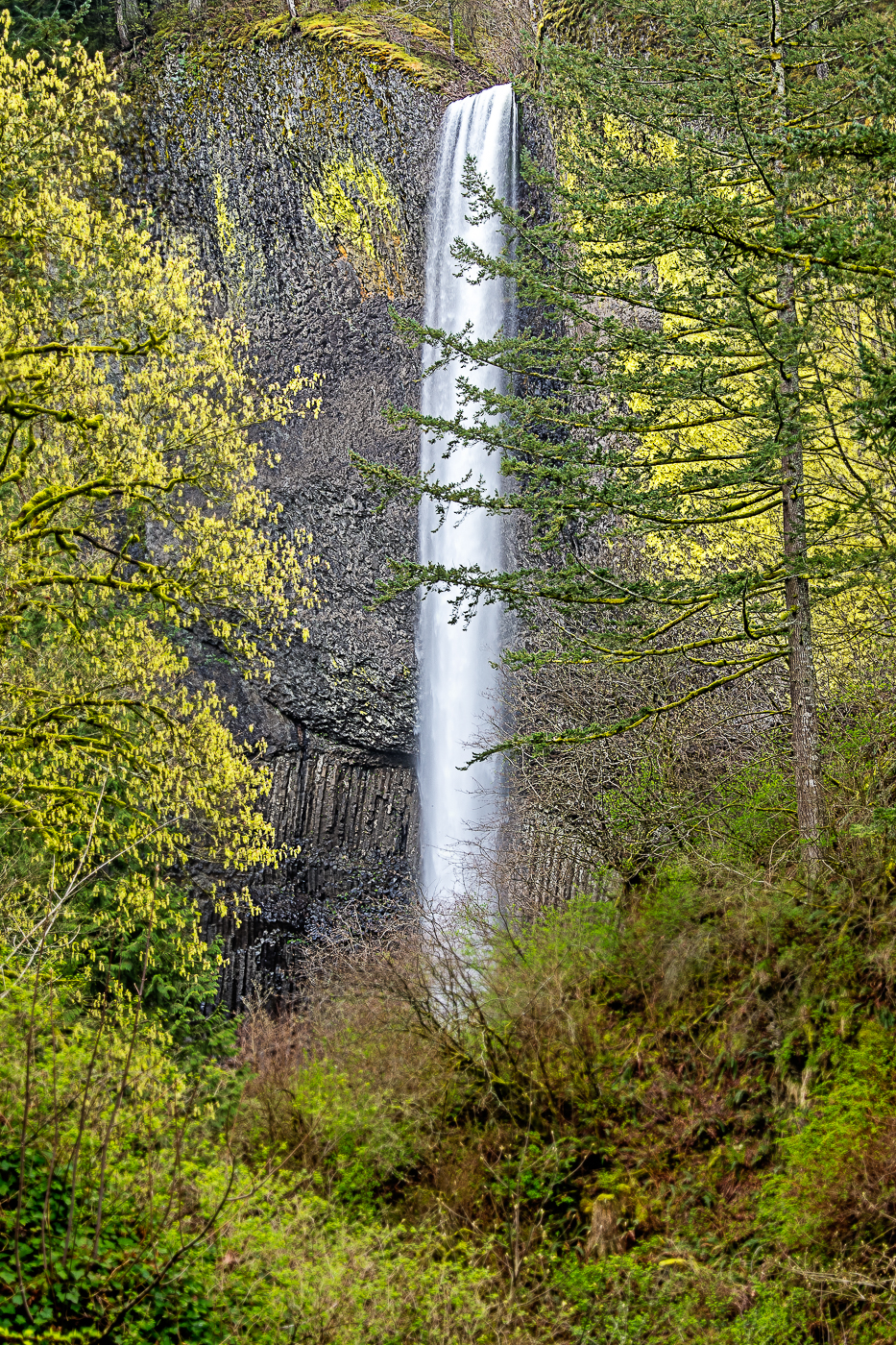 Latourell Falls